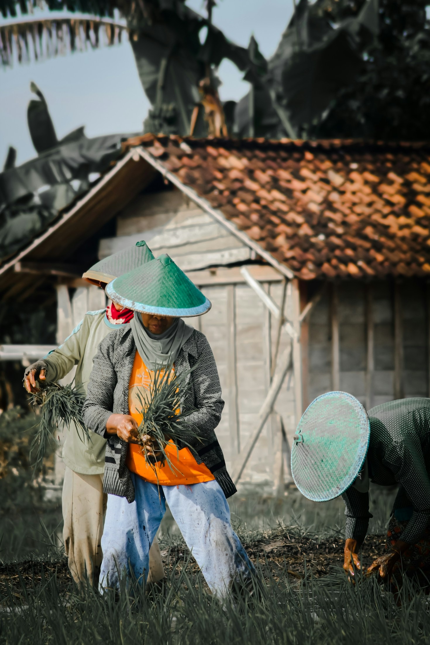 Mengenal Lebih Dekat Manfaat Pupuk Kompos Alami